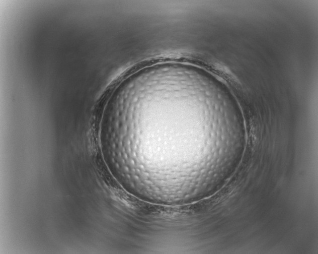 X0000062901256200601271704