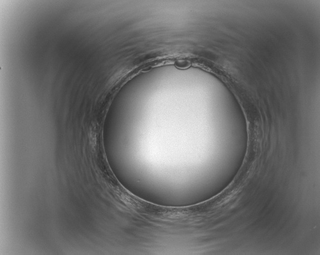 X0000062901257200601271704