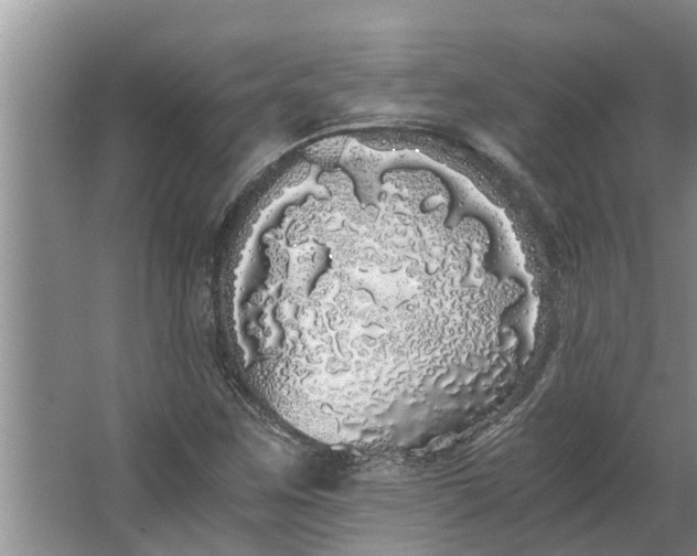 X0000062901259200601271704