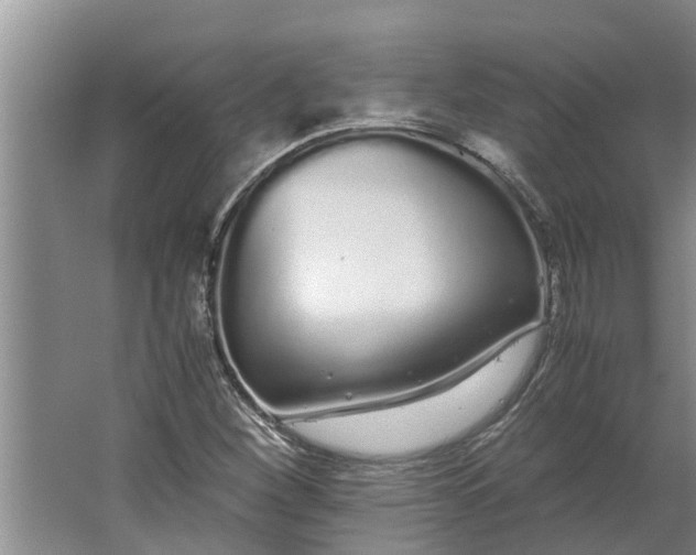 X0000062901260200601271704