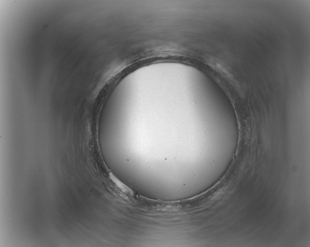 X0000062901261200601271704