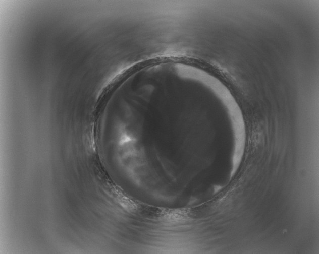 X0000062901262200601271704