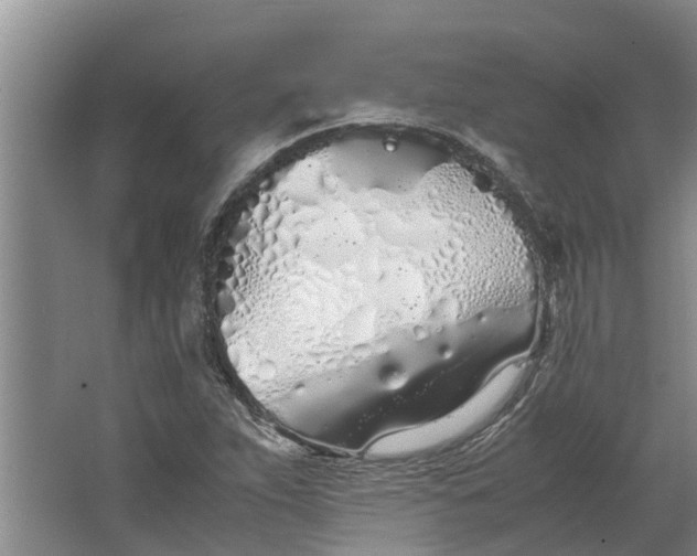 X0000062901263200601271704