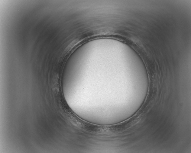 X0000062901265200601271704