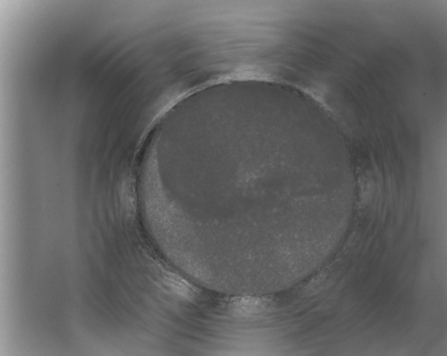 X0000062901266200601271704