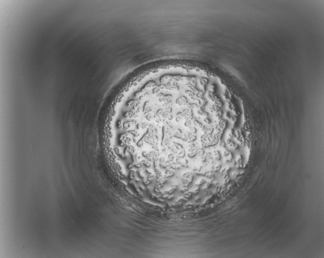 X0000062901267200601271704