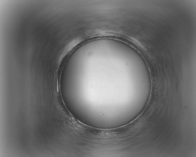 X0000062901269200601271704