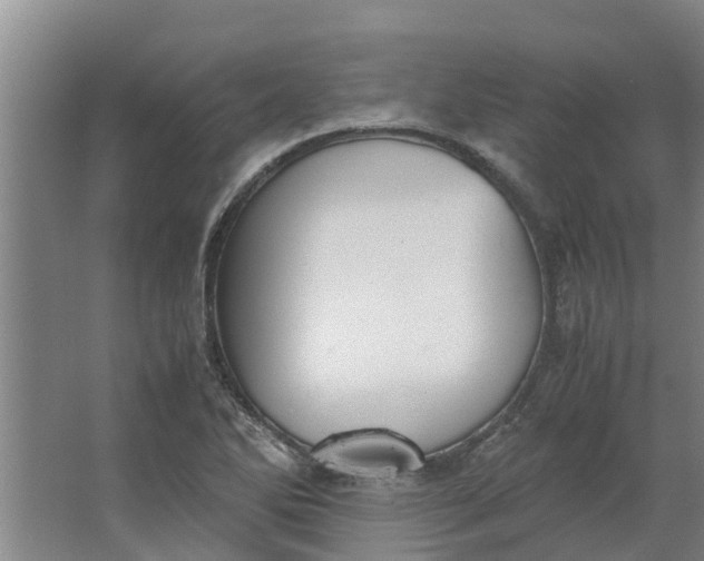 X0000062901270200601271704