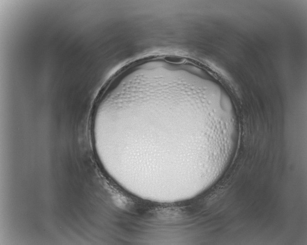 X0000062901272200601271704