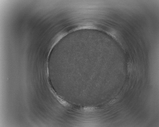 X0000062901274200601271704