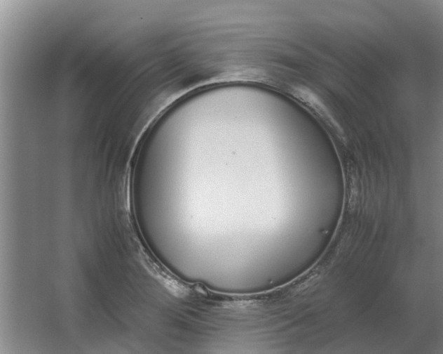 X0000062901276200601271704