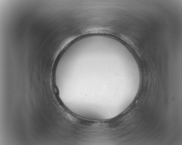 X0000062901277200601271704