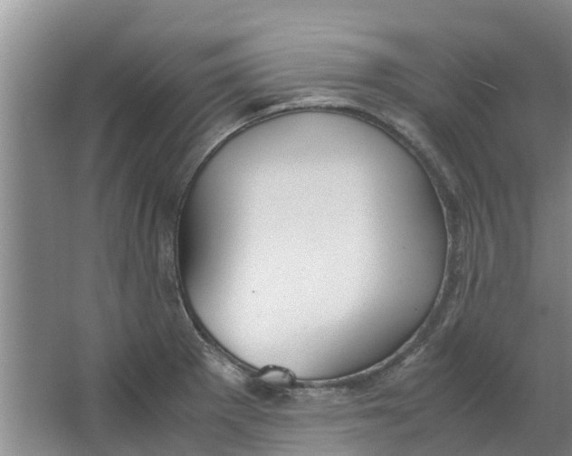 X0000062901281200601271704