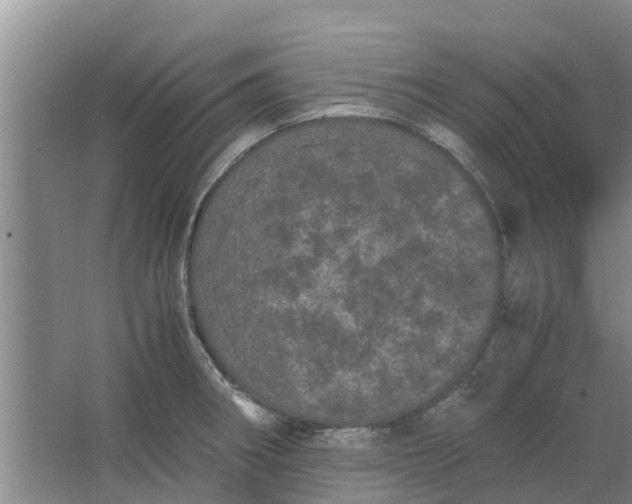 X0000062901282200601271704