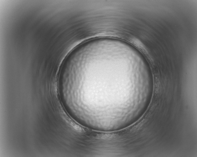 X0000062901284200601271704