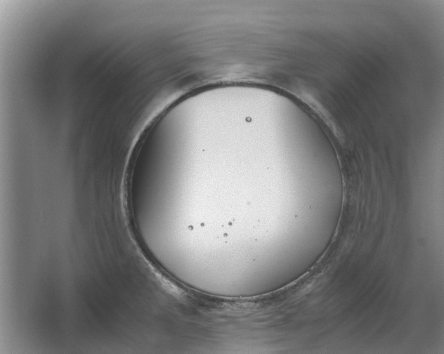 X0000062901285200601271704