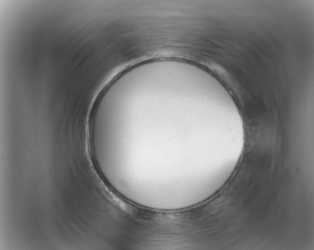 X0000062901286200601271704