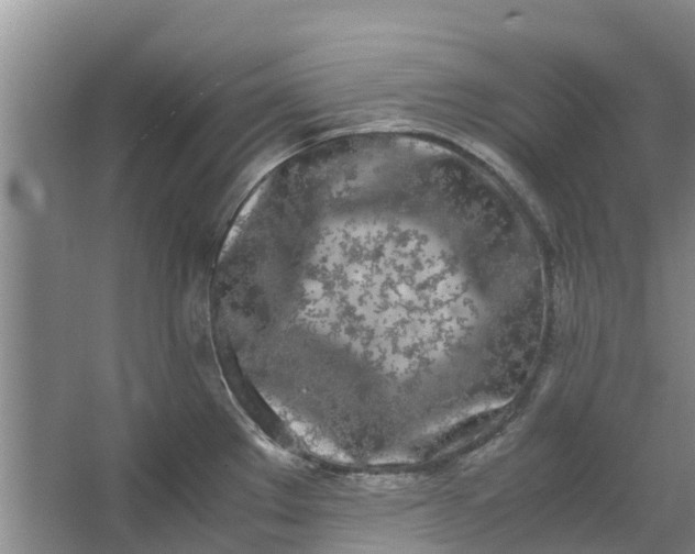 X0000062901289200601271704