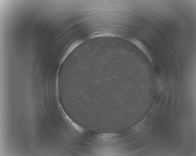 X0000062901290200601271704