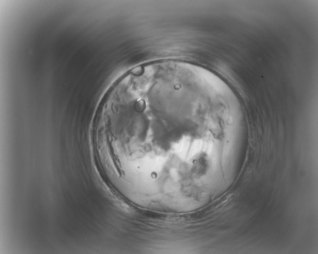 X0000062901291200601271704