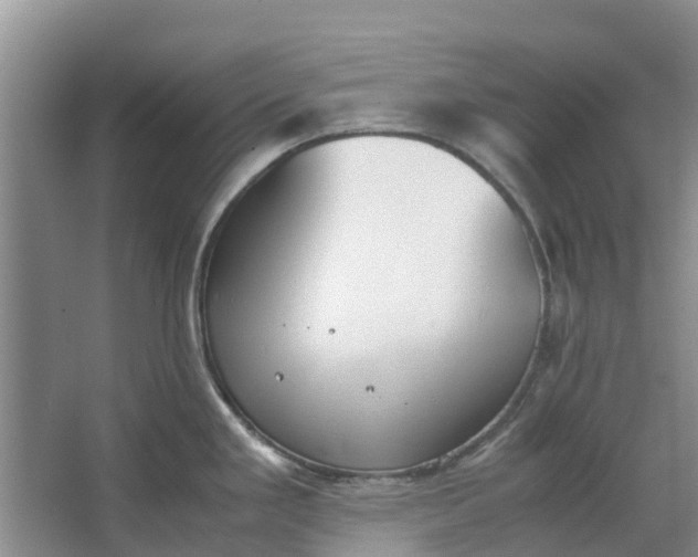 X0000062901293200601271704