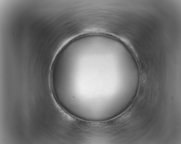 X0000062901295200601271704