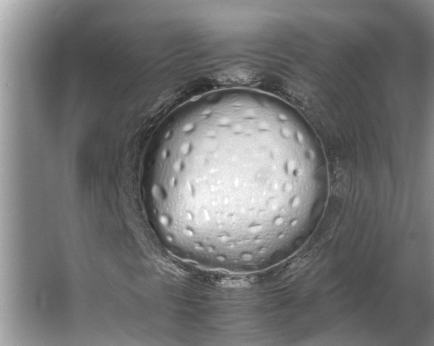 X0000062901297200601271703