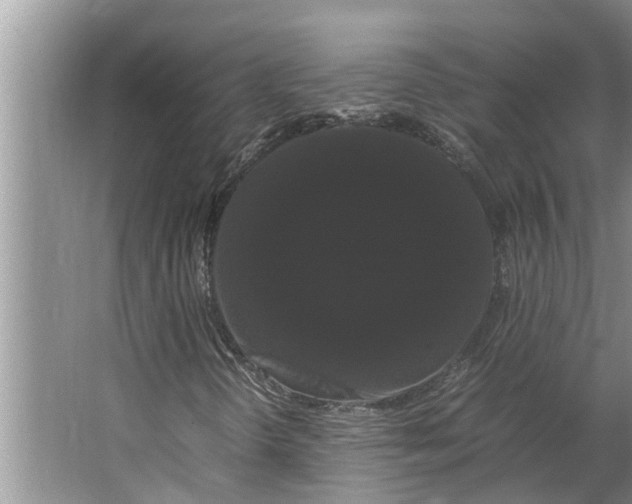 X0000062901298200601271703