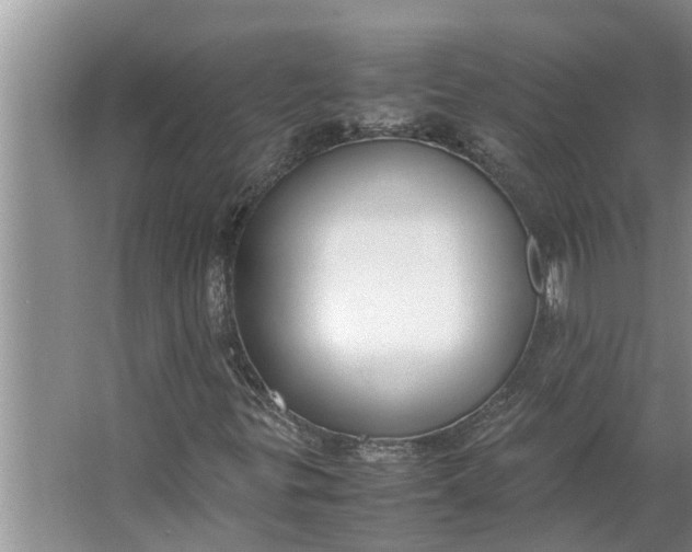 X0000062901299200601271703