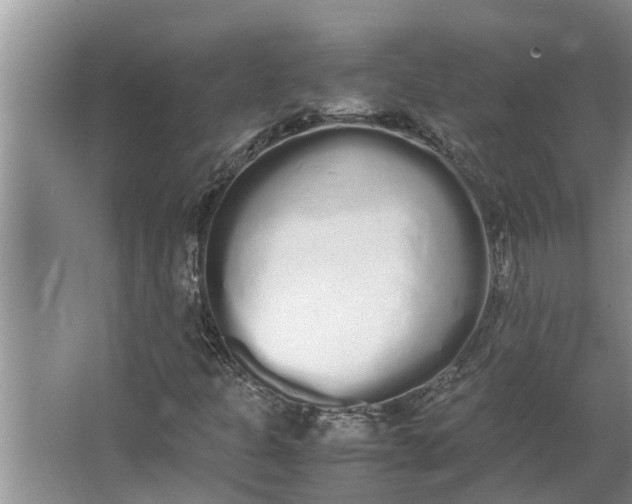 X0000062901301200601271703