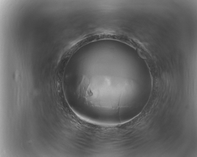 X0000062901303200601271703