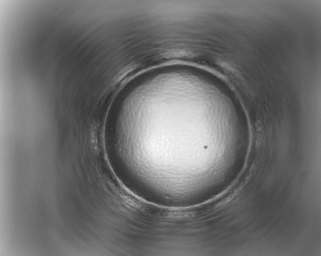 X0000062901305200601271703