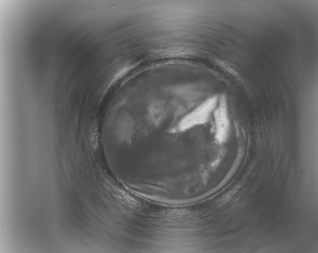 X0000062901306200601271703