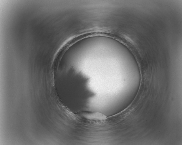 X0000062901310200601271703