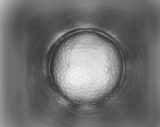 X0000062901311200601271703