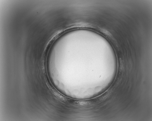 X0000062901318200601271703