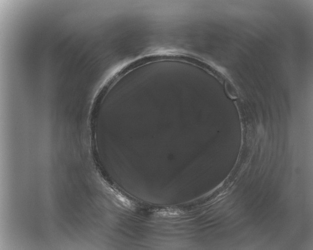 X0000062901319200601271703