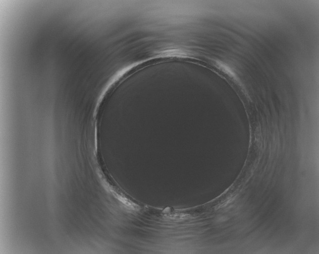 X0000062901323200601271703