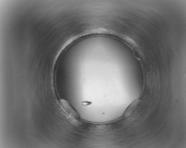 X0000062901326200601271703