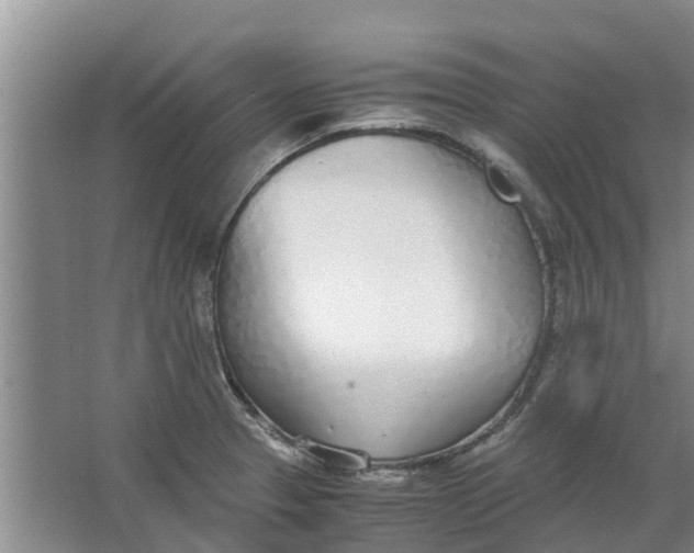 X0000062901329200601271703