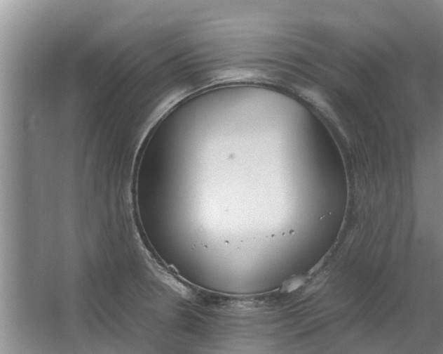 X0000062901330200601271703