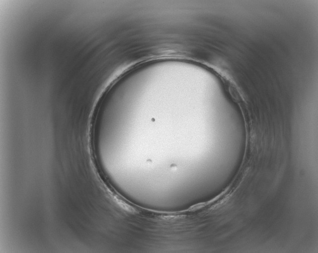 X0000062901333200601271703