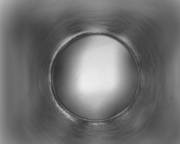 X0000062901335200601271703