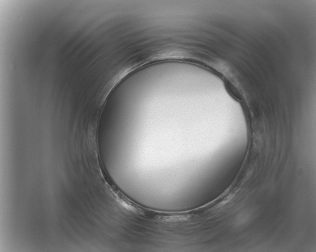 X0000062901337200601271703