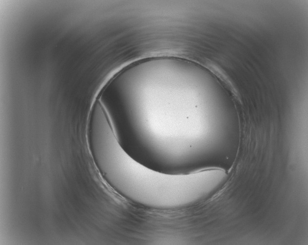 X0000062901340200601271704