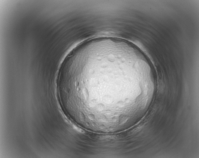 X0000062901341200601271704