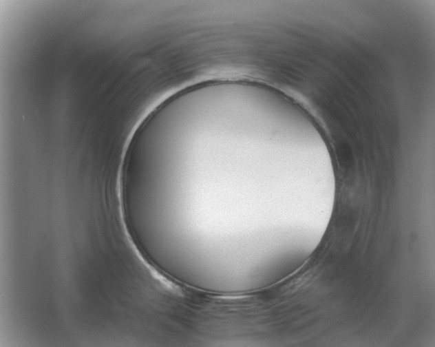 X0000062901343200601271704