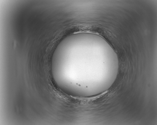 X0000062901345200601271703