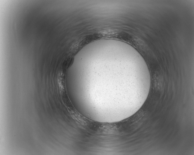 X0000062901346200601271703