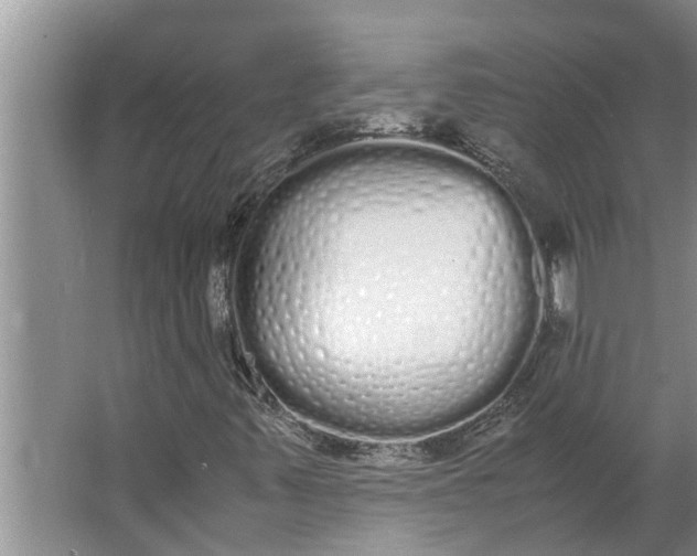 X0000062901347200601271703